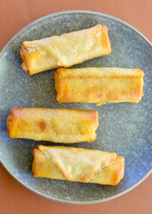 Delicious cheeseburger spring rolls on a plate in the kitchen.