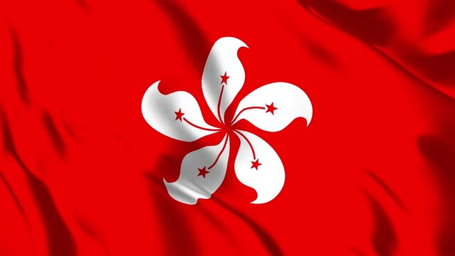 香港の旗がはためいています。30秒でループします。
