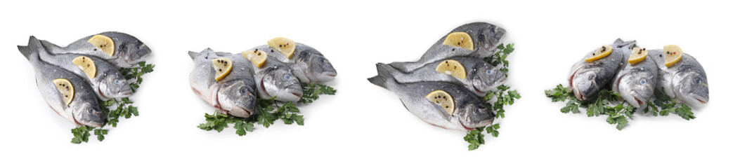 Raw dorada fish, parsley, lemon and peppercorns isolated on white, set