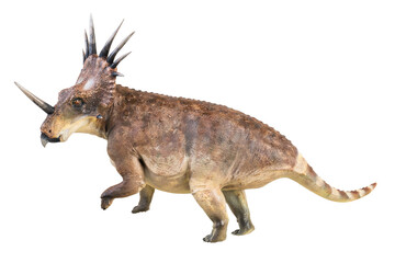 Styracosaurus dinosaur on isolated background © meen_na