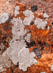 Colorful natural rock background