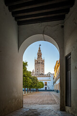 Fototapeta premium La Giralda vista desde el Patio de Banderas de Sevilla, Andalucía, España