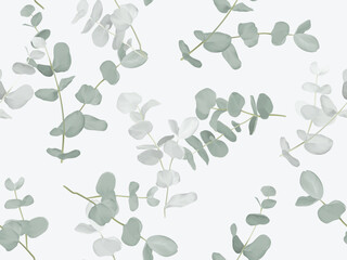 Leaves seamless pattern, green Eucalyptus cinerea on grey - 733528314