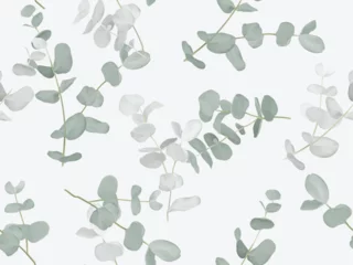 Deurstickers Leaves seamless pattern, green Eucalyptus cinerea on grey © momosama