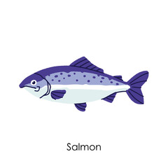 Fototapeta premium Salmon Edible Salt Water Fish Element