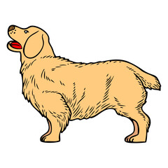 dog vector illustration