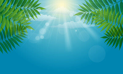 Fototapeta na wymiar Fresh green leaves on natural background. vector illustration. bright light. blue sky.