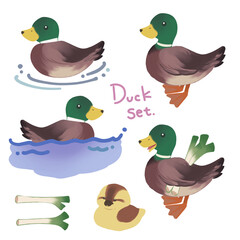 Hand draw kawaii Duck set