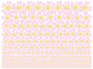 Cherry blossom (SAKURA) flower head illustration pattern that gradually becomes smaller.