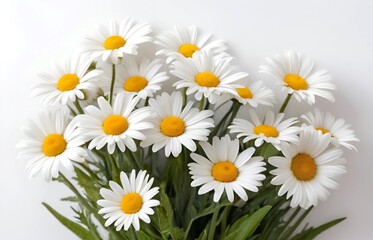 Fototapeta premium A very beautiful large bouquet of daisy flowers
