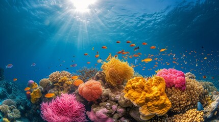 Fototapeta premium Underwater beauty of coral ecosystems, vital for marine conservation.