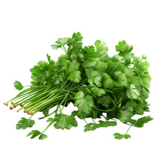 Coriander PNG Cutout, Generative AI