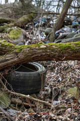Obraz premium Old used car tires in the forest. Illegal dump of tires in the nature. Environmental pollution.