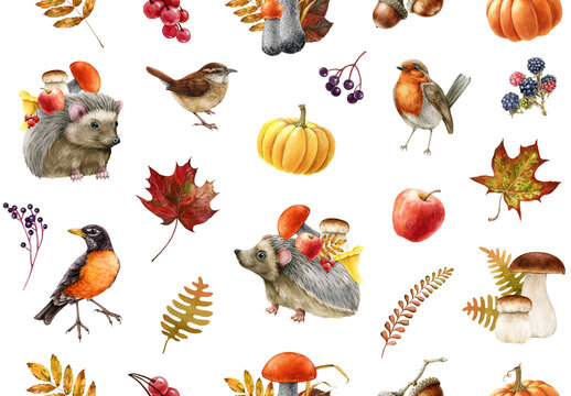 Autumn season decor seamless pattern. Watercolor painted illustration. Forest natural elements, mushrooms, berries, fallen leaves, birds, hedgehogs seamless pattern. Autumn cozy decor in warm colors