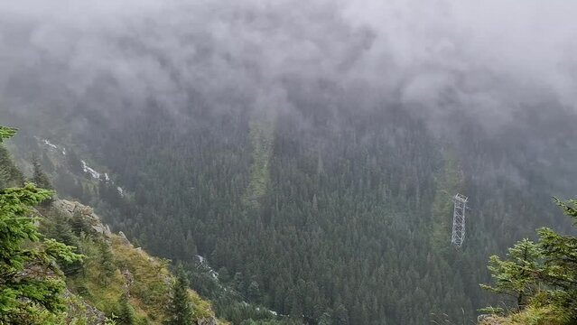 Wonderful view to the misty valley from the top of the mountain. Foggy clouds above the coniferous woods in carpathians ridge