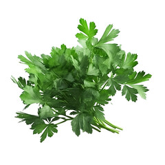 Obraz premium Parsley PNG Cutout, Generative AI