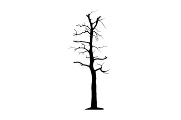 Image of a large leafless tree silhouette isolated on a transparent background png file. - obrazy, fototapety, plakaty