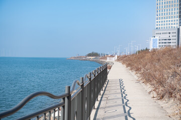Walkway and fence at seaside park
