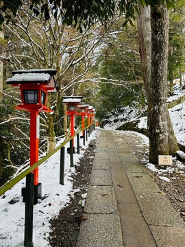 The hiking trail with red lantern box in the snowy forest to the Kuramadera Temple at Kyoto, Japan on a winter day 