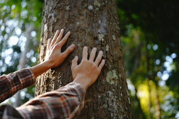 Human hands touching tree green forest in tropical woods, hug tree or protect environment, co2, net...