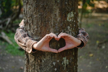 Human hands touching tree green forest in tropical woods, hug tree or protect environment, co2, net zero concept, pollution or climate change, earth day