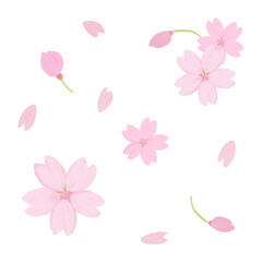 舞い散る桜の花と花びら、蕾のイラスト素材セット、アナログ手描き風味