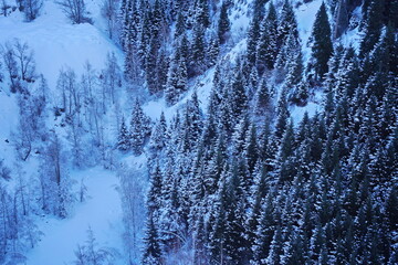 A mountain slope with different vegetation and snow.