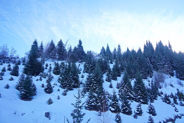 A mountain slope with different vegetation and snow.
