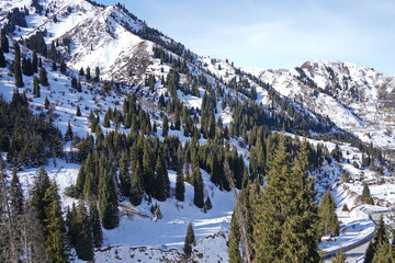 A mountain slope with different vegetation and snow.