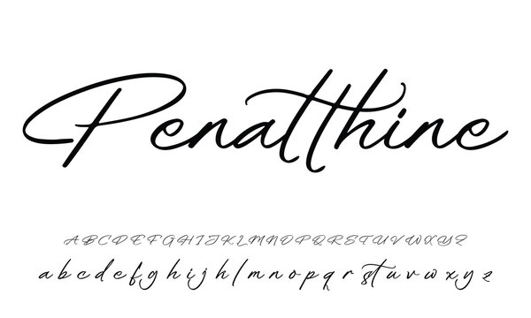 Signature script lettering font