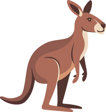 kangaroo flat vector illustration