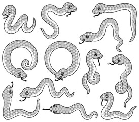 色んなポーズの蛇のイラスト【モノクロ・セット】