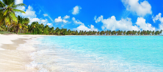 Tropical island paradise sea beach, turquoise water, ocean wave, coconut palm trees, sand, sun sky...