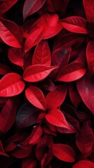 Red leaves texture. Floral background.