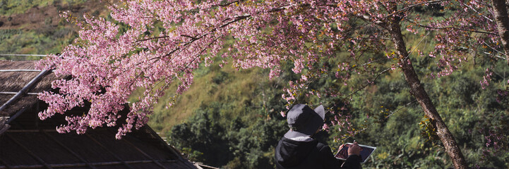 travel and work concept with solo freelancer man sit under cherry blossom tree and use tablet work...