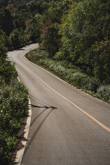 travel in nature concept with pink cherry blossom tree and country road in springtime season
