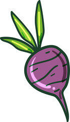 illustration of a red sugar beet with leaves