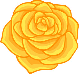 yellow rose flower illustration