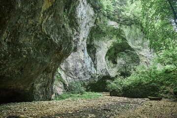 A wild cave or grotto. Mountainous terrain. Summer time of the year.