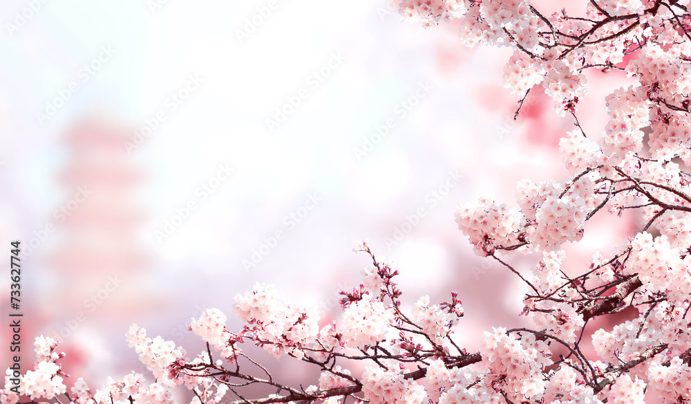 Aufkleber horizontal banner with sakura flowers of pink color and ancient pagoda on sunny misty backdrop. beau