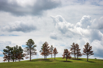 Prairies and Grasslands of Wind Cave National Park in South Dakota