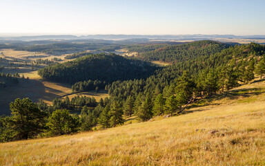 Naklejka premium Prairies and Grasslands of Wind Cave National Park in South Dakota