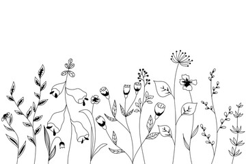 Nature vector background with hand-drawn wild grasses, flowers and leaves on white. Floral illustration in the Doodle style.