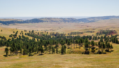 Obraz premium Prairies and Grasslands of Wind Cave National Park in South Dakota