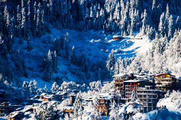 Snowfall in Himachal Pradesh