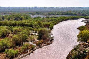 Fototapeta premium A river delta flowing through a valley overgrown with trees.