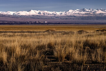 A steppe with orange-colored grass, with a city visible on the horizon against the backdrop of...