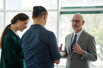 Confident director of business company in formalwear explaining working points to young...