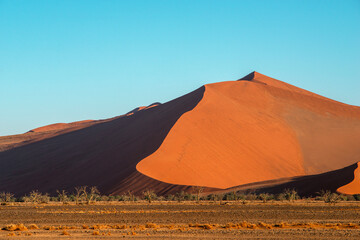 Fototapeta na wymiar red dune by morning