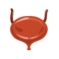 human bladder organ sticker in clipart illustration